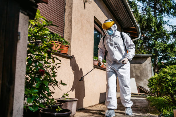 Best Pest Prevention Services  in Sparta, MO