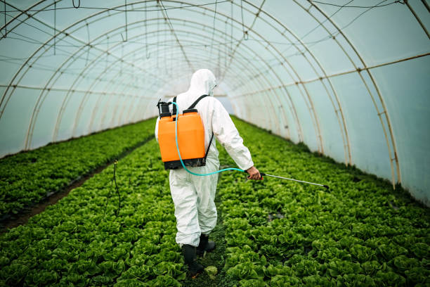 Best Pest Inspection Near Me  in Sparta, MO