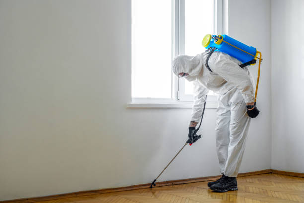 Best Emergency Pest Control  in Sparta, MO